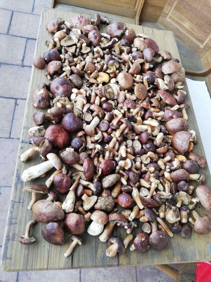 Penzion Horajda Hotel Vitkovice Luaran gambar