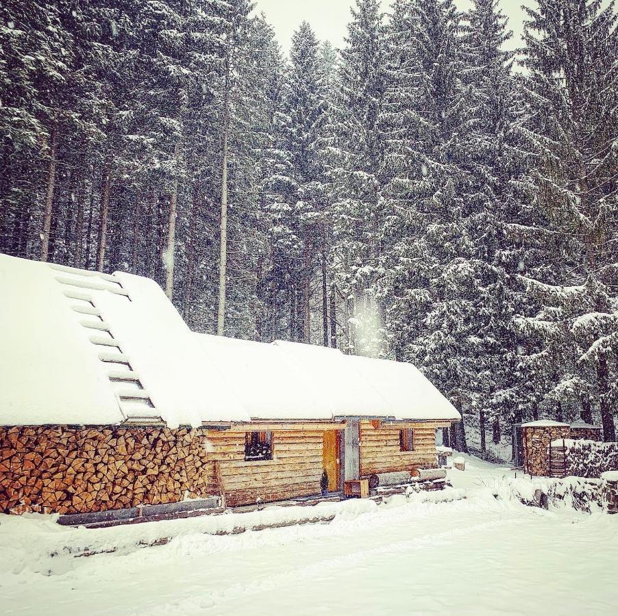 Penzion Horajda Hotel Vitkovice Luaran gambar