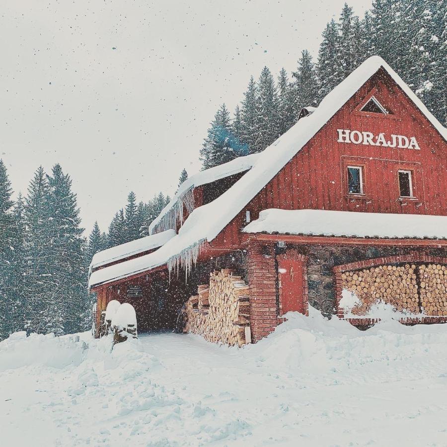 Penzion Horajda Hotel Vitkovice Luaran gambar